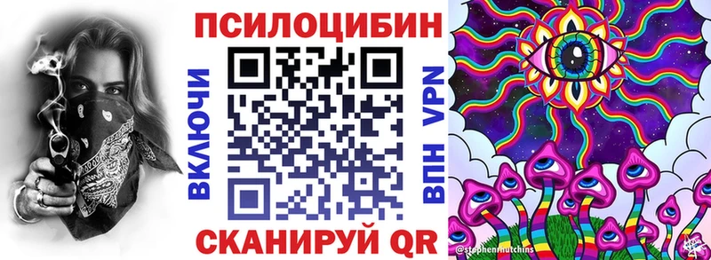 Псилоцибиновые грибы MAGIC MUSHROOMS  продажа наркотиков  Райчихинск 